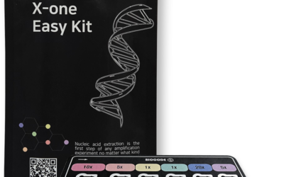 X-one Easy Kit