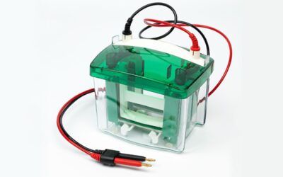 BCodePro™ Electrophoresis Cell