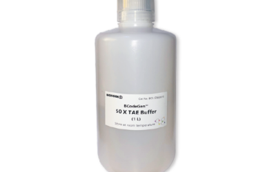 BCodeGen™ 50× TAE Buffer