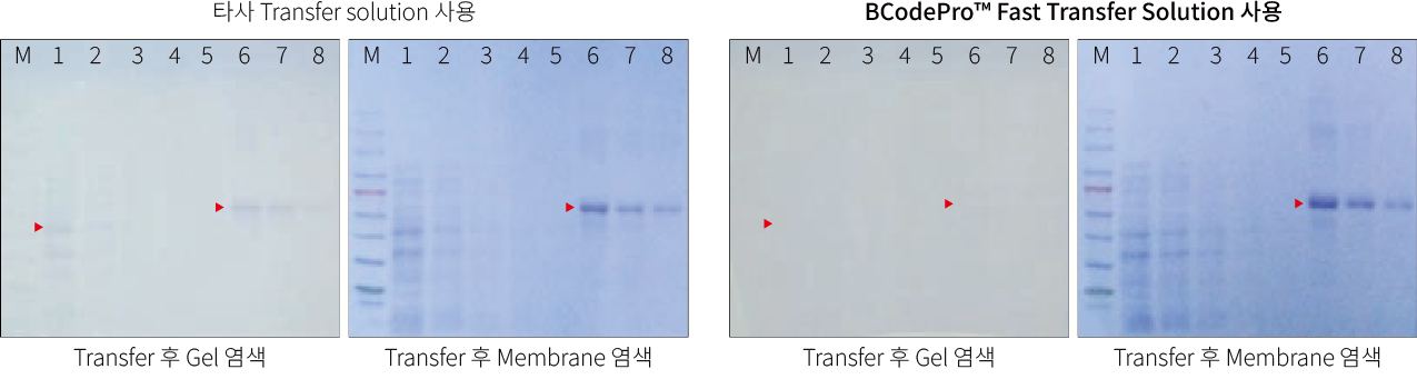 Fast transfer solution_comparison_data