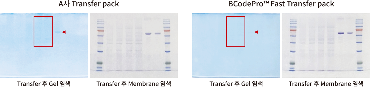 transfer pack_comparison_data