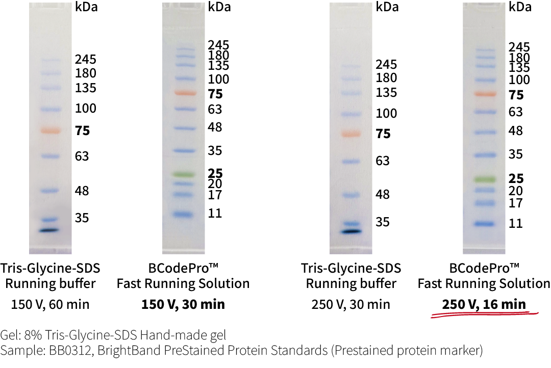 Fast Running_comparison data